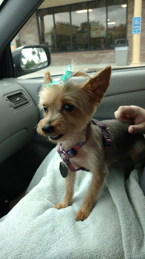 Pet Groomer «Petsense Conway», reviews and photos, 2803 Church St, Conway, SC 29526, USA