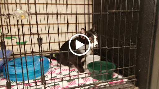 Pet Supply Store «Pet Supplies Plus», reviews and photos, 3984 Seneca St, West Seneca, NY 14224, USA