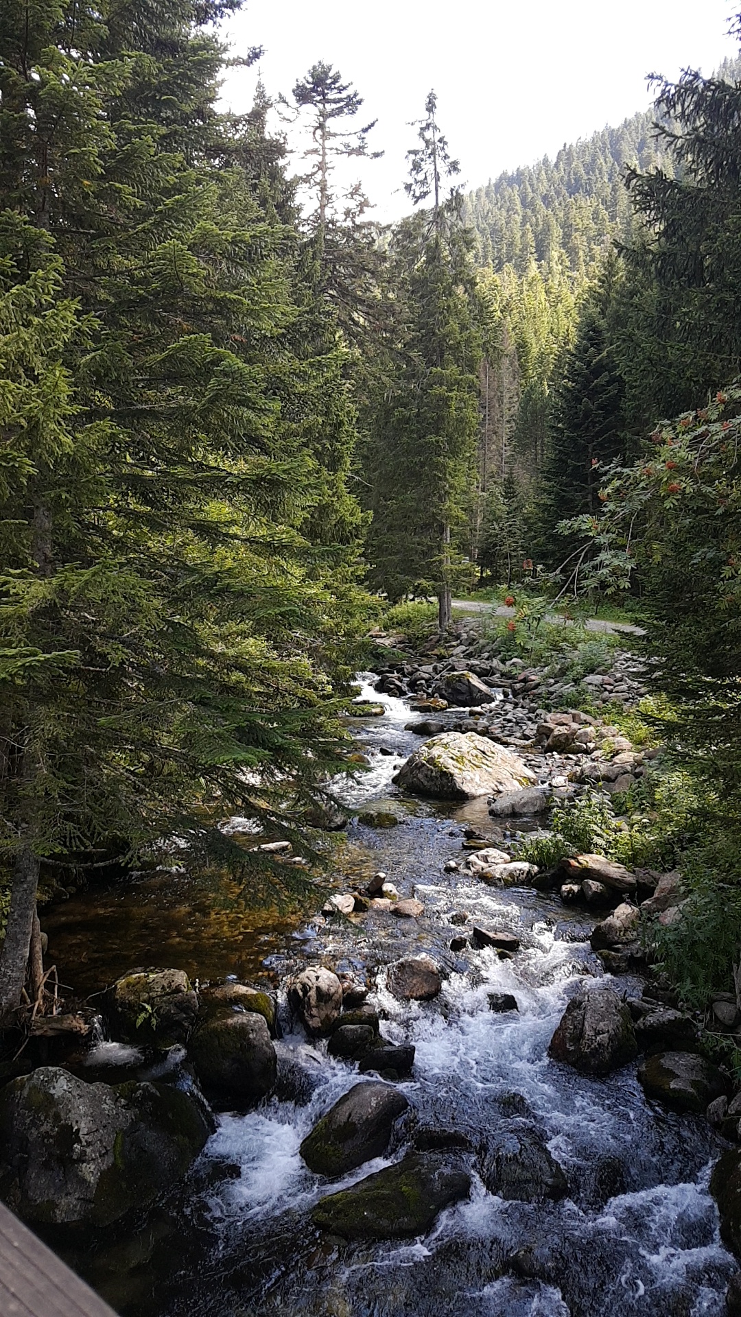 Photo n° 3 de l'avis de Ela.y fait le 18/08/2018 à 23:44