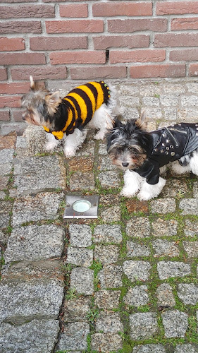Karnaś Dariusz, lek. wet. Lecznica weterynaryjna dla zwierząt - Jelenia Góra