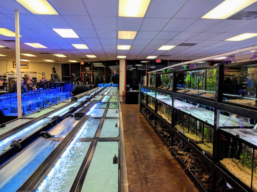 Fish Store «Aquatek Tropical Fish», reviews and photos, 8023 Burnet Rd # 1, Austin, TX 78757, USA