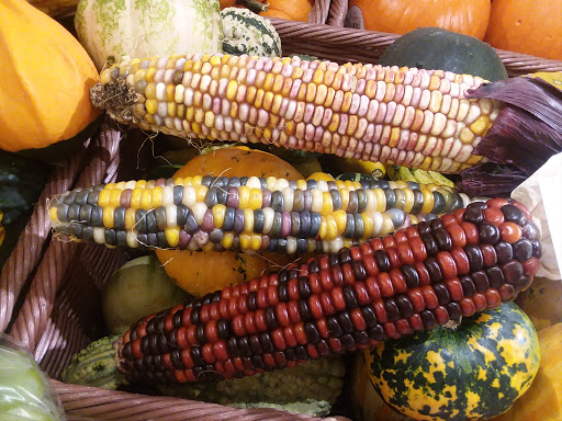 Grocery Store «Food Lion», reviews and photos, 1202 W Broad St, Elizabethtown, NC 28337, USA