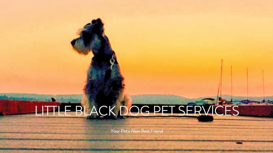 Little Black Dog Pet Services