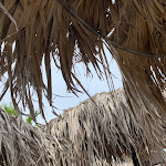 Photo n°11 de l'avis de Emi.l fait le 13/08/2022 à 13:00 sur le  Da Maurizio à Chioggia