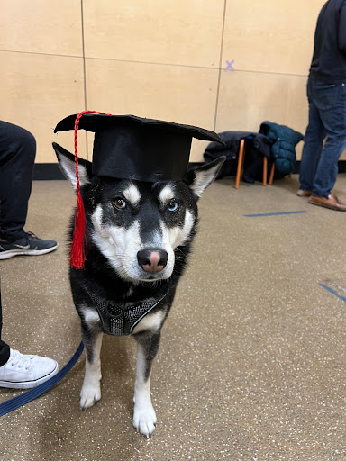 Pet Supply Store «PetSmart», reviews and photos, 400 Universal Dr N, North Haven, CT 06473, USA