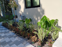 Gomez Landscaping - Photo 6 - Car repair in , Miami