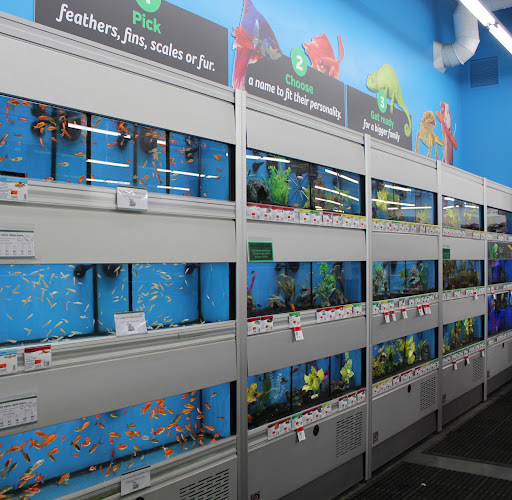 Pet Supply Store «Pet Supplies Plus», reviews and photos, 61 Irving Park Rd, Streamwood, IL 60107, USA