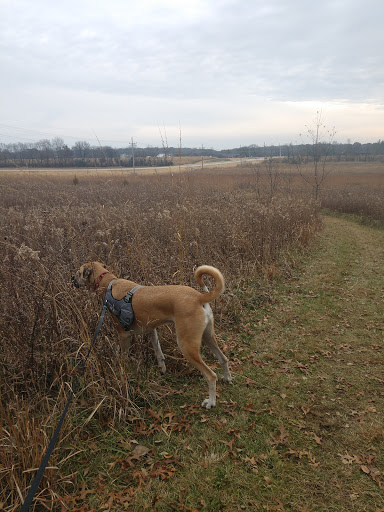 Nature Preserve «Subat Forest Preserve», reviews and photos, 4675-4999 Eldamain Rd, Plano, IL 60545, USA