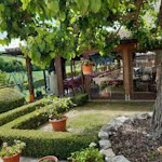 Photo n°10 de l'avis de Gianluca.i fait le 11/04/2024 à 22:32 sur le  Agriturismo Il Gorghetto à Sassoferrato