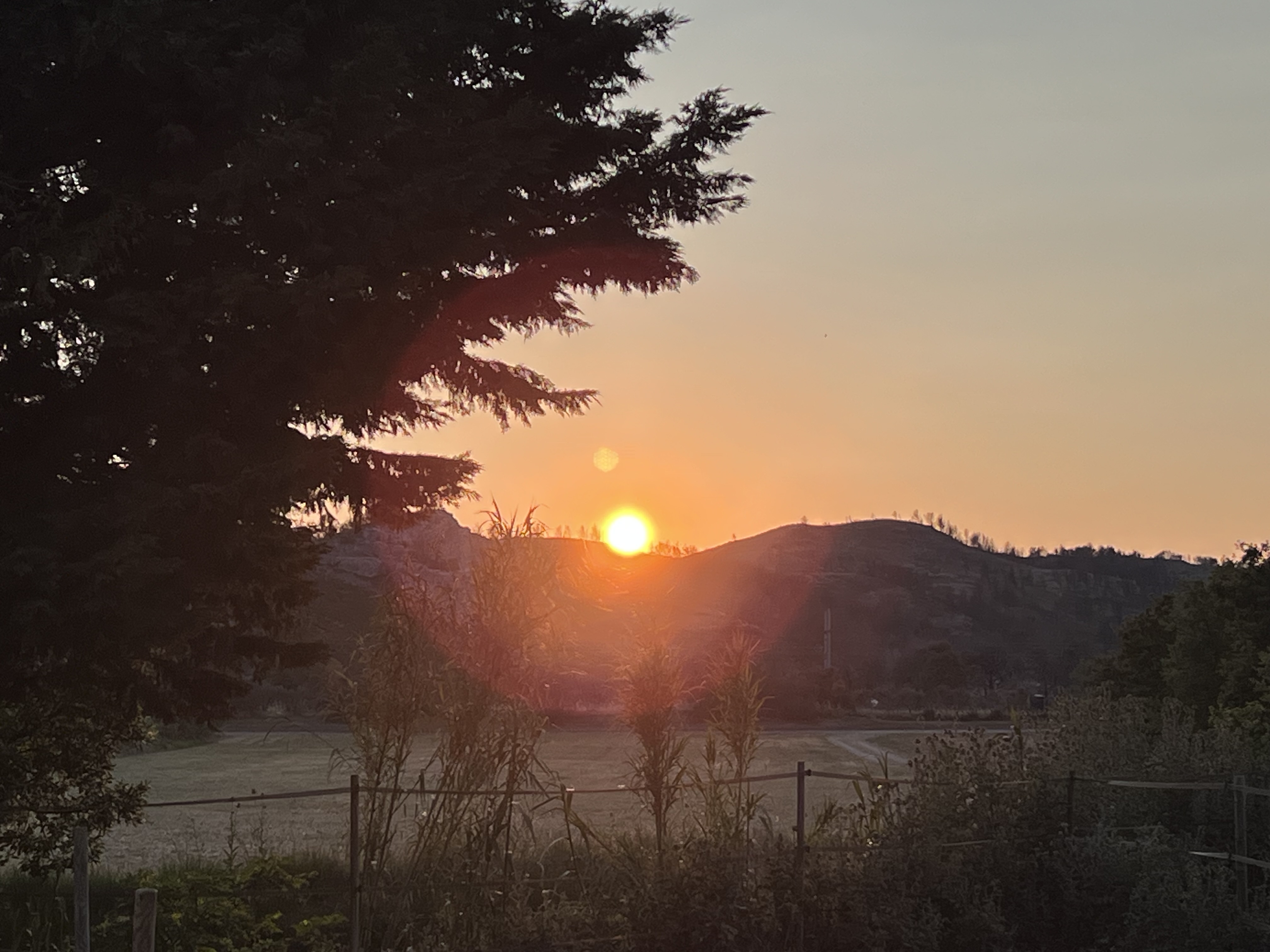 Photo n° 2 de l'avis de Arnaud.L fait le 15/05/2023 à 18:32