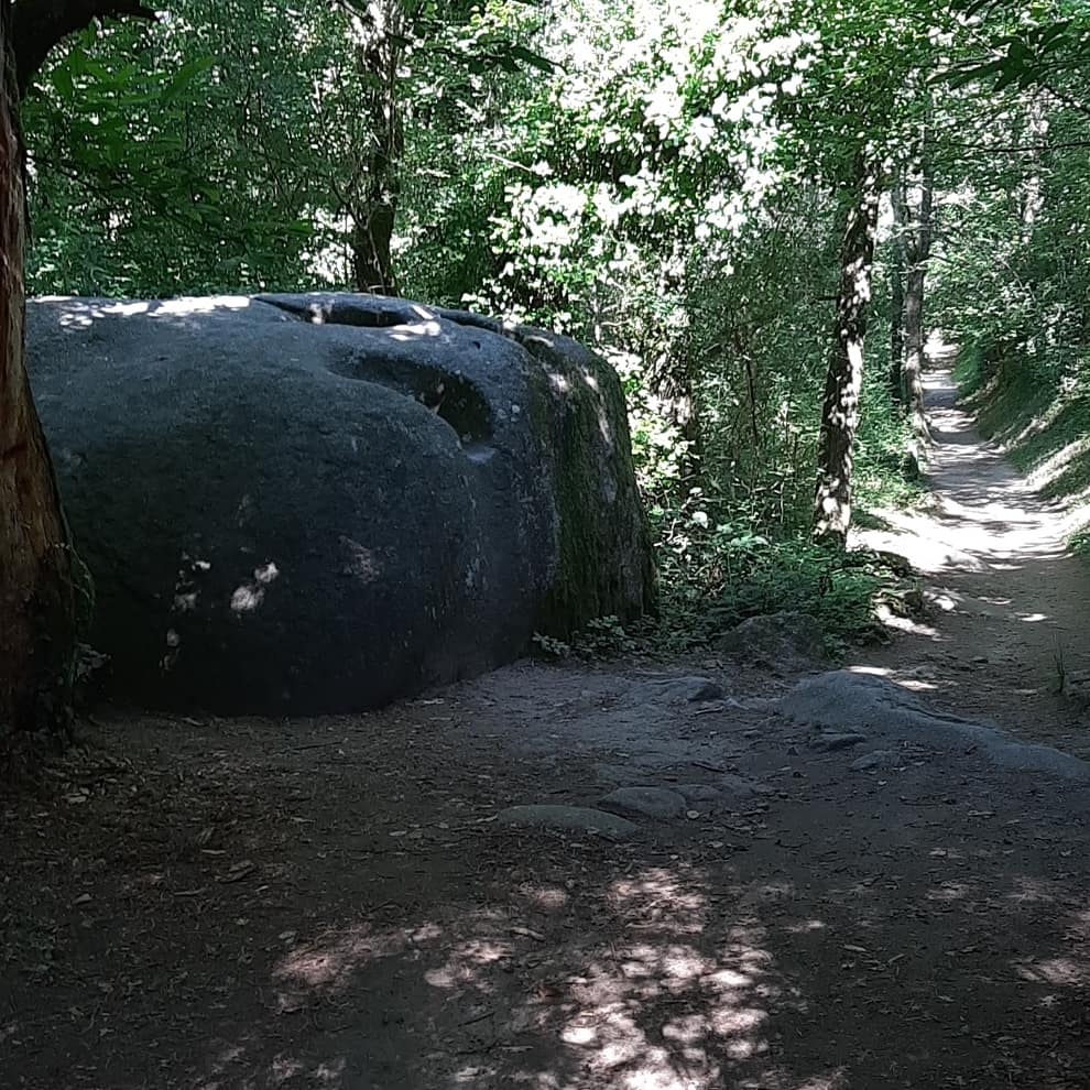 Photo n° 2 de l'avis de Julie.. fait le 03/08/2019 à 12:10