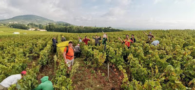 Domaine Pierre-André Dumas Vins du Beaujolais à Odenas