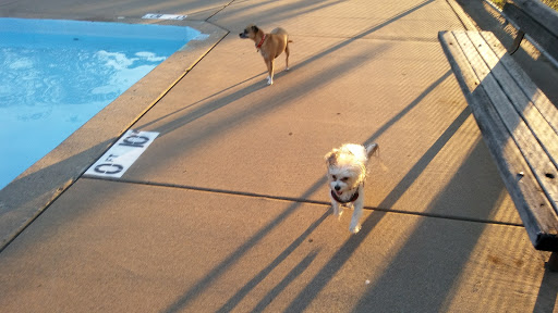 Park «Marshall Terrace Park», reviews and photos, 2740 Marshall St NE, Minneapolis, MN 55418, USA