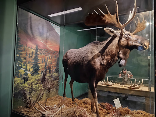 Montgomery Zoo & Mann Wildlife Learning Museum