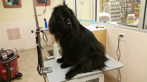 Pet Supply Store «Petco Animal Supplies», reviews and photos, 1015 Fording Island Rd, Bluffton, SC 29910, USA