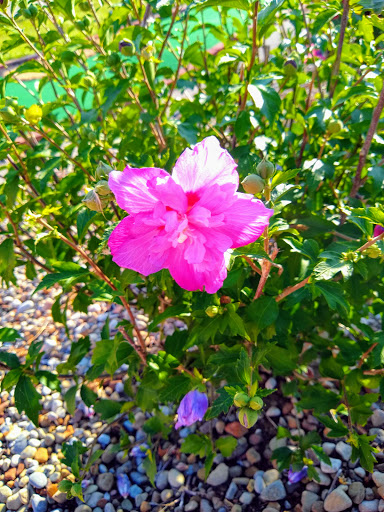 Water Park «Monsoon Lagoon Watering Hole Safari & Waterpark», reviews and photos, 1530 S Danbury Rd, Port Clinton, OH 43452, USA