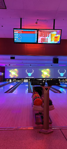 Supermarket «ALDI», reviews and photos, 14654 Manchester Rd, Ballwin, MO 63011, USA