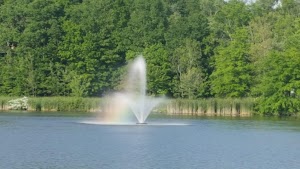 Fancher-Davidge Park - photo 82