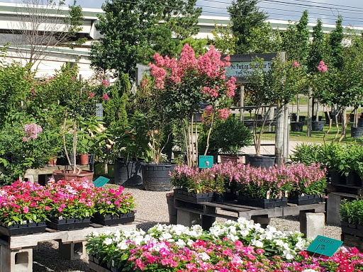 Plant Nursery «HOUSTON PLANTS & GARDEN WORLD», reviews and photos, 16726 North Fwy, Houston, TX 77090, USA