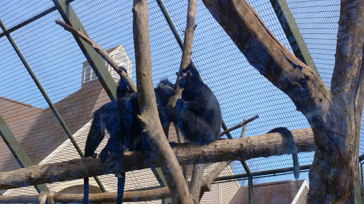 Zoo «Mesker Park Zoo», reviews and photos, 1545 Mesker Park Dr, Evansville, IN 47720, USA