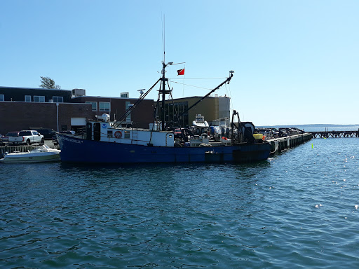 Aquarium «Woods Hole Science Aquarium», reviews and photos, 166 Water St, Woods Hole, MA 02543, USA