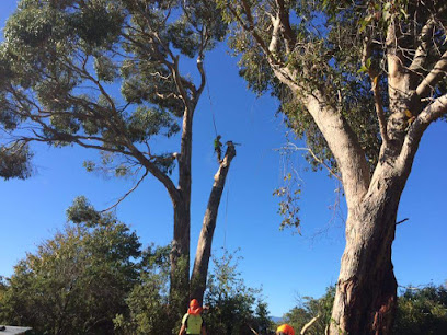 Tasman Bay Tree Works