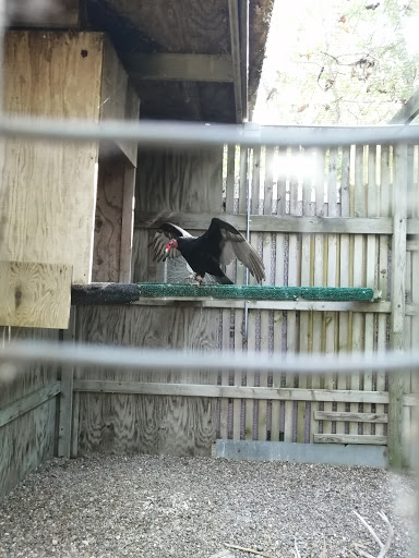 Nature Preserve «Iowa Raptor Center», reviews and photos, 2095 Mehaffey Bridge Rd NE, Solon, IA 52333, USA