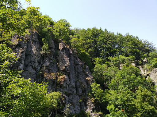 Boyana Waterfall