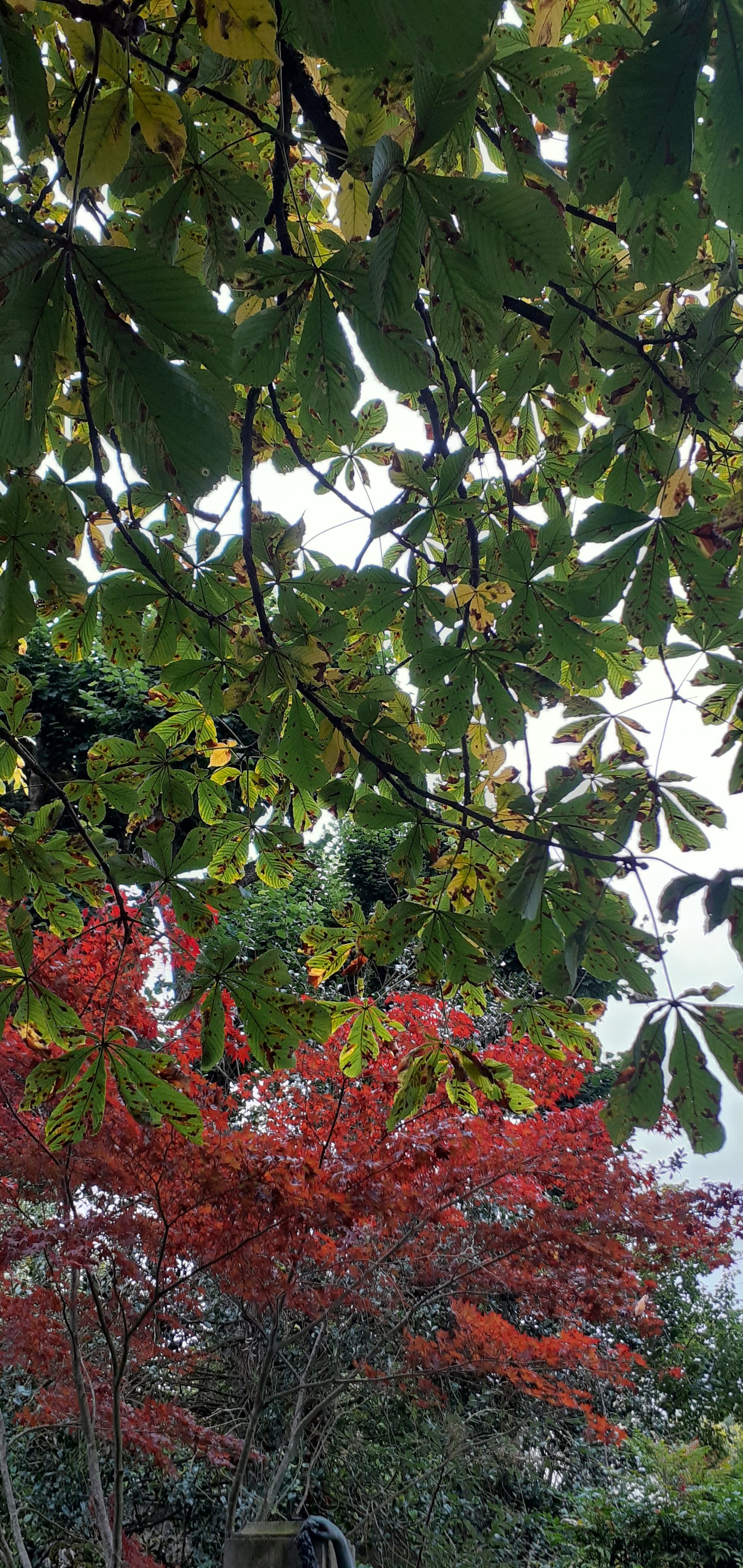 Photo n° 13 de l'avis de marie. fait le 14/10/2021 à 15:30