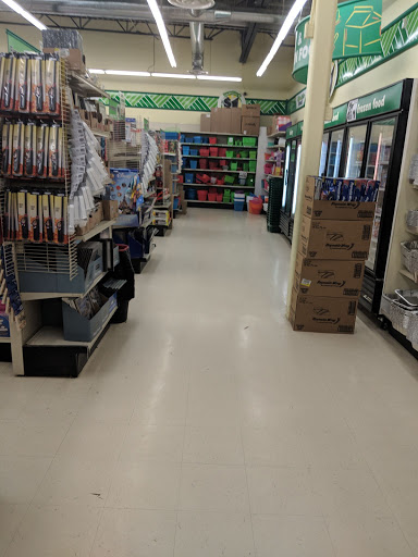 Dollar Tree