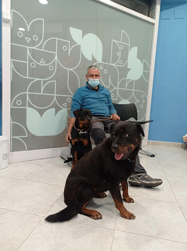 Clínica Veterinaria Novavet en Castellar del Vallès