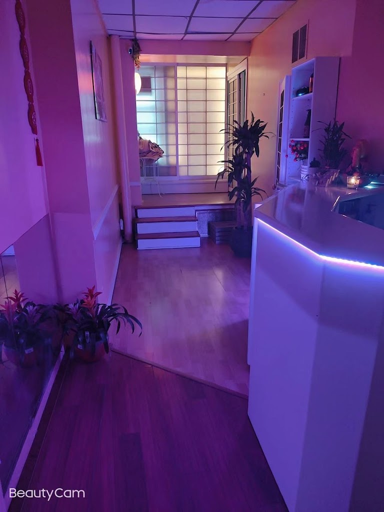 New Green Forest Spa 10023