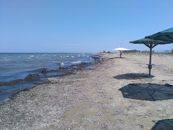Paralia Myrsinis'in fotoğrafı biraz temiz temizlik seviyesi ile