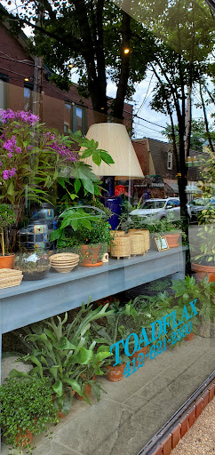 Florist «Toadflax Inc», reviews and photos, 5500 Walnut St, Pittsburgh, PA 15232, USA