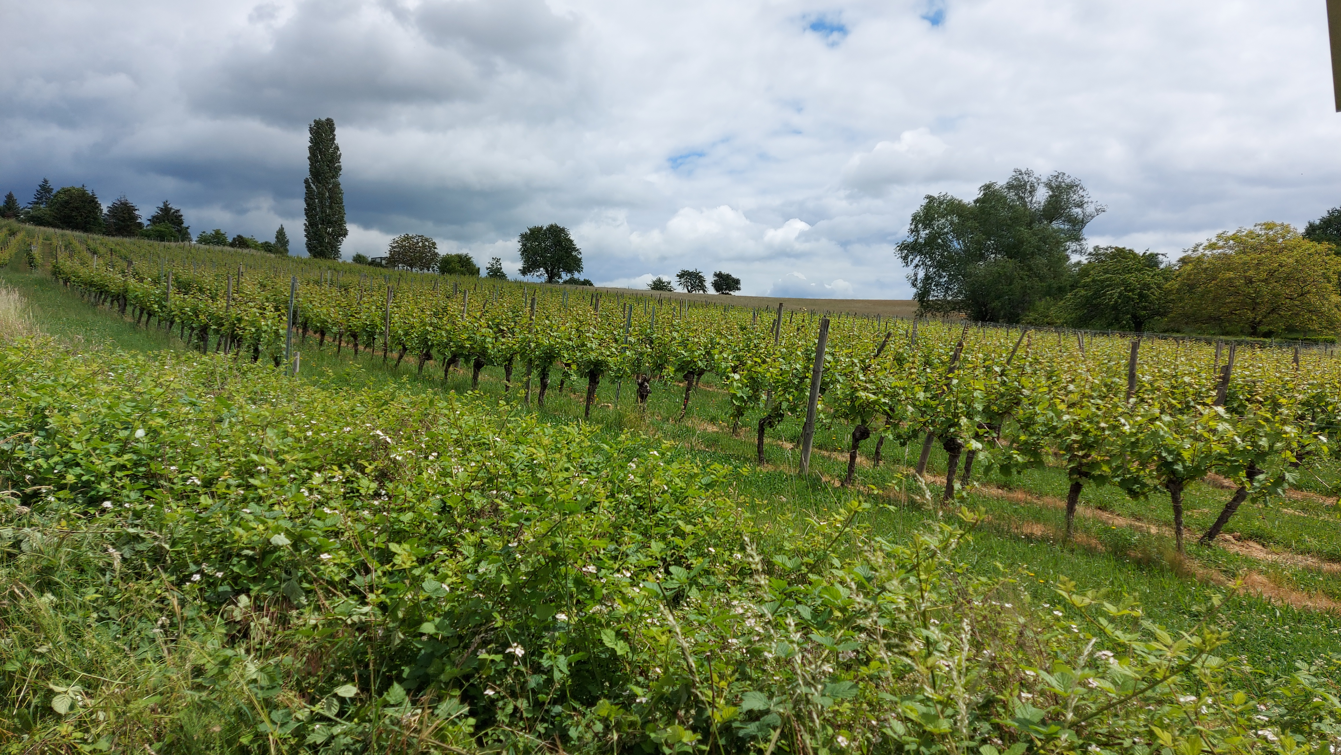 Photo n° 3 de l'avis de M..a fait le 26/05/2022 à 12:46