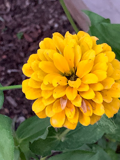 Farm «Idlewild Butterfly Farm», reviews and photos, 1100 Logan St, Louisville, KY 40204, USA