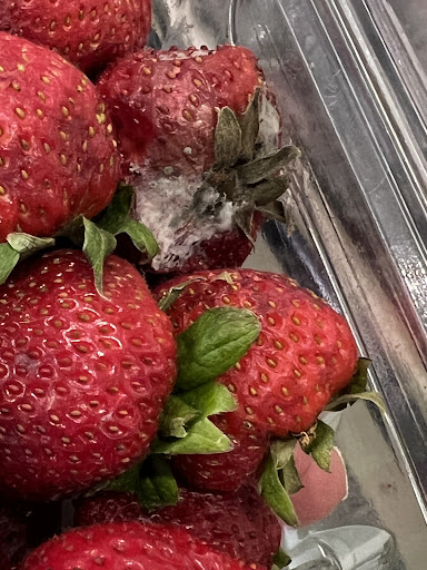 Supermarket «Giant Food», reviews and photos, 3297 Crain Hwy, Waldorf, MD 20603, USA