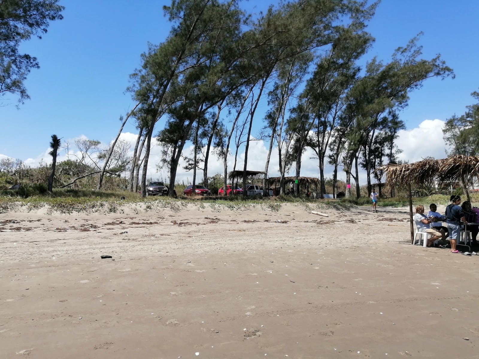 Φωτογραφία του Playa Villamar με επίπεδο καθαριότητας εν μέρει καθαρό