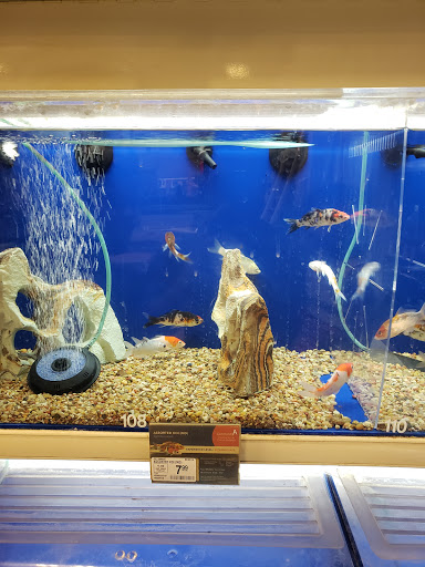 PetSmart image