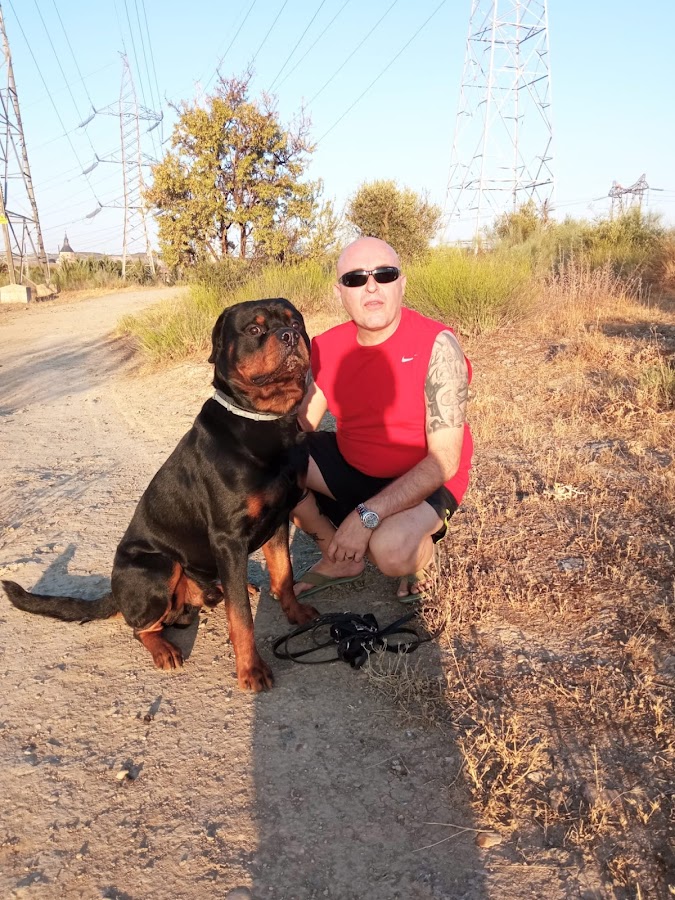 ADIESTRAMIENTO TORREJÓN
