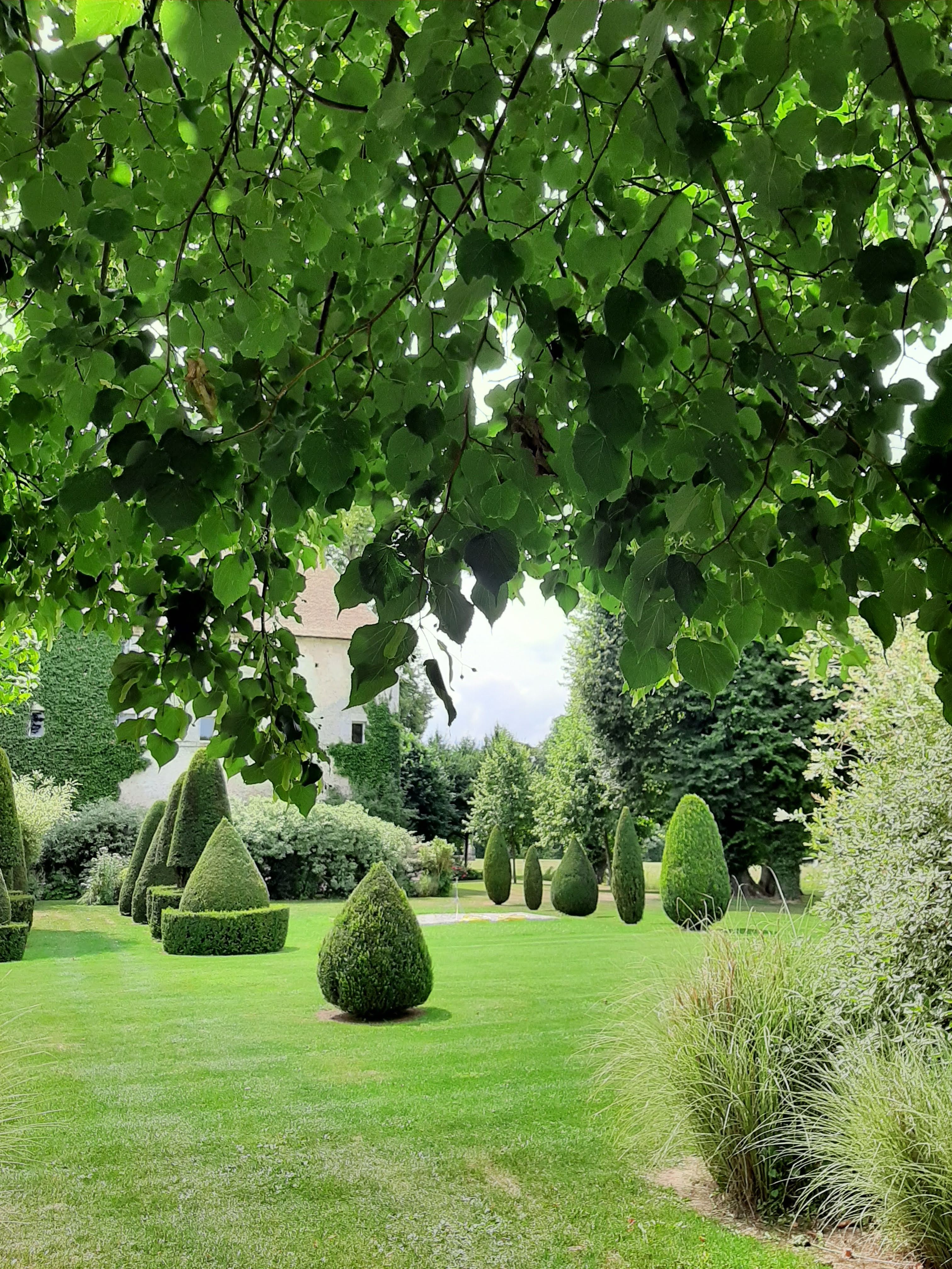 Photo n° 4 de l'avis de Véronique.o fait le 01/08/2019 à 12:17