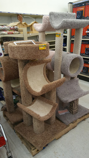 Discount Store «Big Lots», reviews and photos, 8563 Watson Rd, Webster Groves, MO 63119, USA