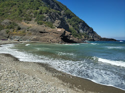 Karamam Koyu Plaji'in fotoğrafı vahşi alan