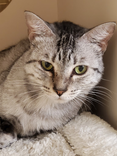 Pet Supply Store «Petco Animal Supplies», reviews and photos, 1121 5th St, Miami Beach, FL 33139, USA