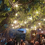 Photo n°1 de l'avis de jessica.h fait le 21/06/2019 à 21:56 sur le  The Temple à Piacenza