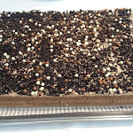 Photo n°14 de l'avis de Rigo.i fait le 17/06/2017 à 11:52 sur le  Hotel Mediterraneo à Lignano Sabbiadoro