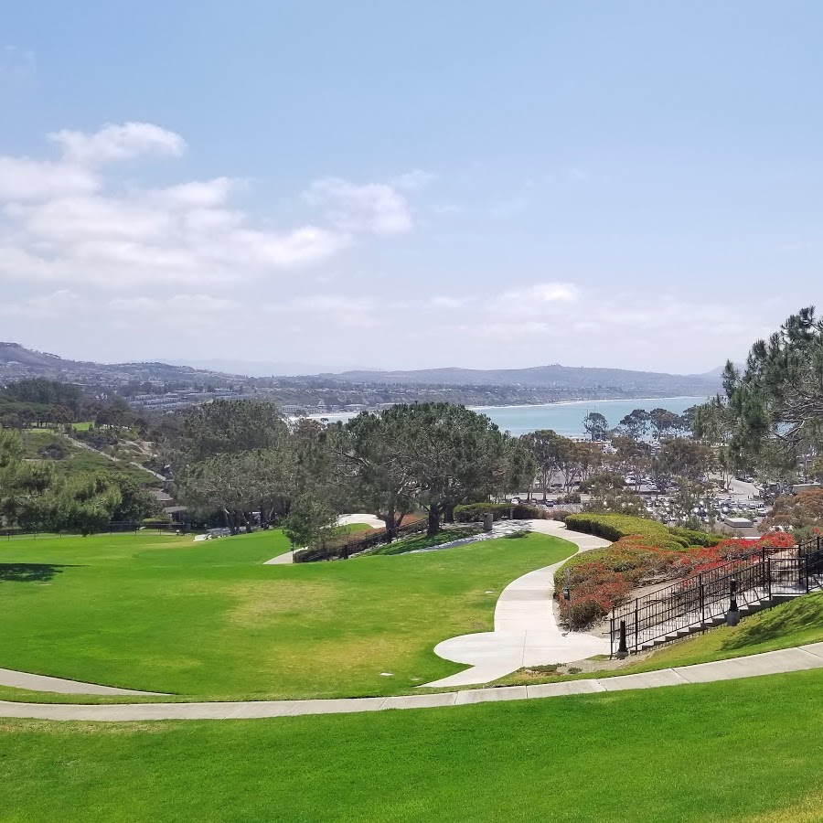 Doris Walker Overlook