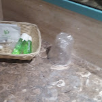 Photo n°4 de l'avis de Salvatore.u fait le 07/07/2019 à 07:00 sur le  Alfa Fiera Hotel à Vicenza