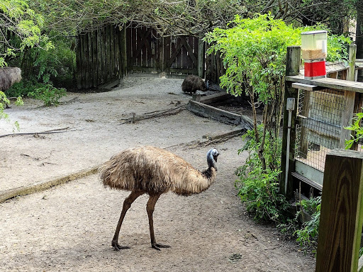 Amusement Park «Gatorland», reviews and photos, 14501 S Orange Blossom Trail, Orlando, FL 32837, USA