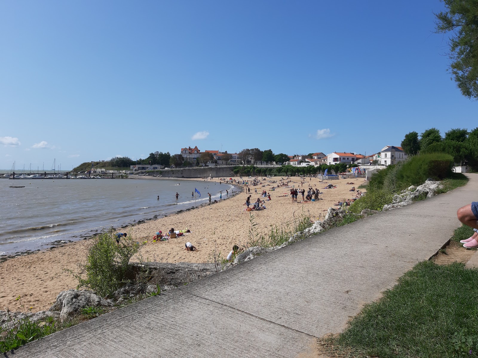 Zdjęcie Plage Sud z wiele przestronnych zatok